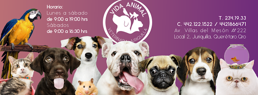 Vida Animal Veterinaria Juriquilla y Sombrerete.