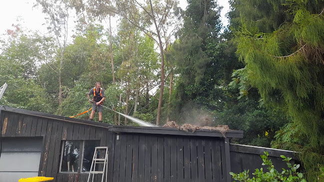 Reviews of Dan The Man Maintenance in Whangarei - House cleaning service