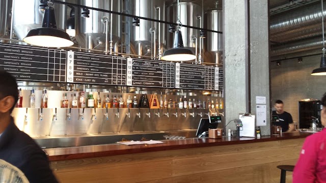 Molo Brew