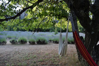 Photos of Huala Hostel