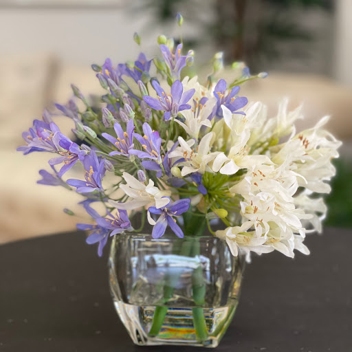 The Love Garden - Thumbnail