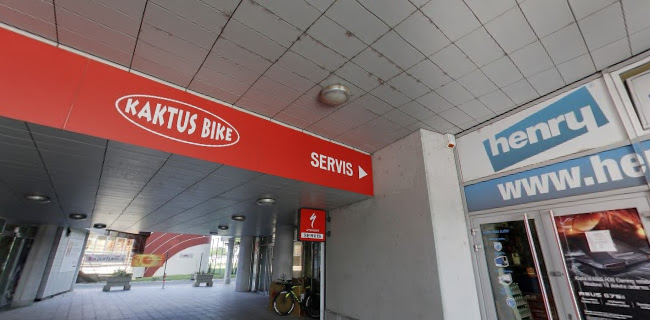 http://www.kaktusbike.sk/