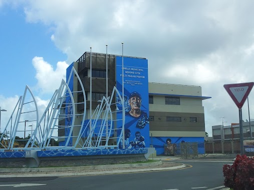 Amelia Municipal Boxing Gym Felix Pagán Pintor, Author: Reynaldo Santos