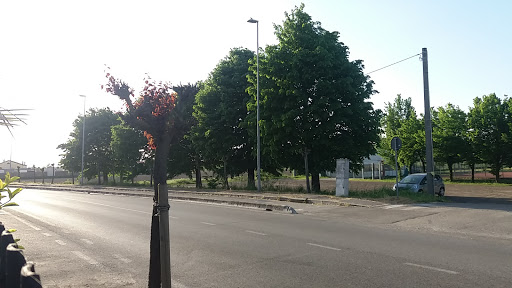 Stadio di Codevigo - Visual