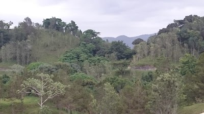 lodging