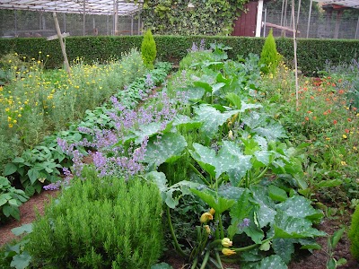 ALBERGUE AREITZ SOROA. ALOJAMIENTO RURAL. HORTICULTURA ECOLÓGICA BABESTEN