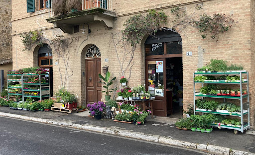 Ilenia Piante e Fiori