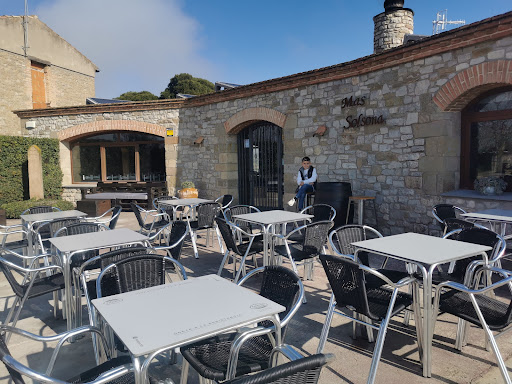 Mas solsona - Visual