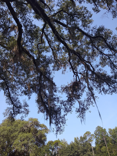Shoal River Wayside Park (Bill Duggan Jr. Park) - Thumbnail