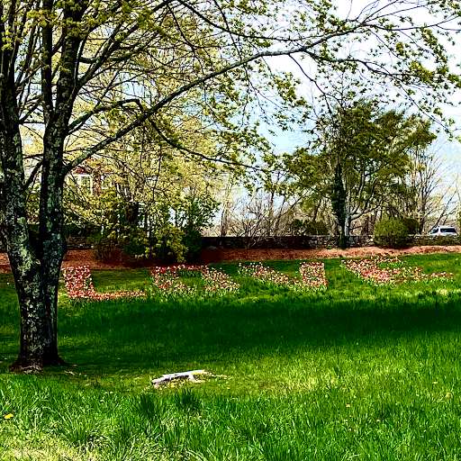 Dawn Famiglietti Real Estate William Raveis Madison - Thumbnail
