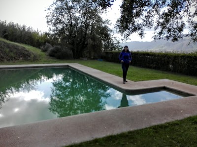 Photos of Vi&ntilde;a Hacienda Araucano Fran&ccedil;ois Lurton