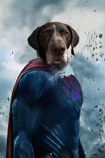 Pets Pose - Thumbnail