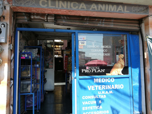 Clínica Animal Dr.Saulés
