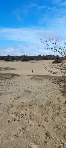 Het Kootwijkerzand - Thumbnail