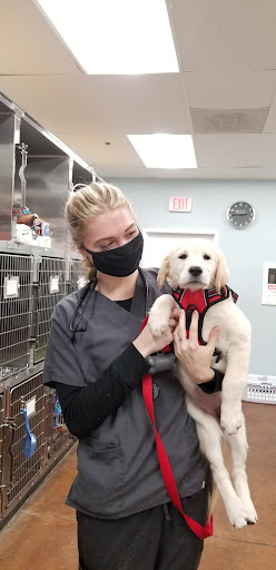 Veterinary Outpatient Surgical Center - Thumbnail