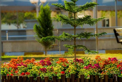 Photos of Misurata University