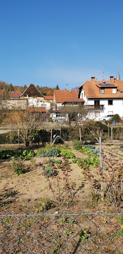 Solwia e.K. Inhaberin Heidemarie Nwolisa - Thumbnail