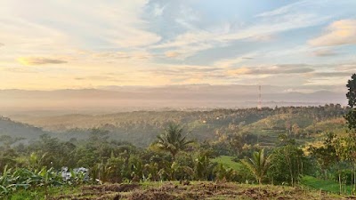 Photos of ZAFARO FARM