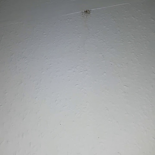 Reviews of Pest Link Ltd in London - Pest control service