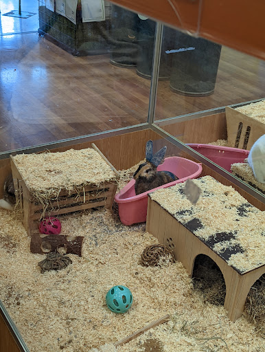 Pets at Home Enfield - Thumbnail