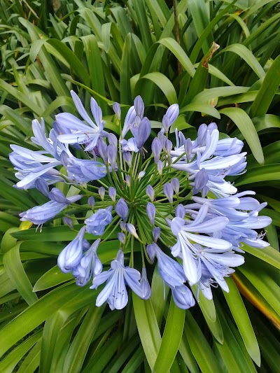 Photos of Reinaldo Espinosa Botanical Garden