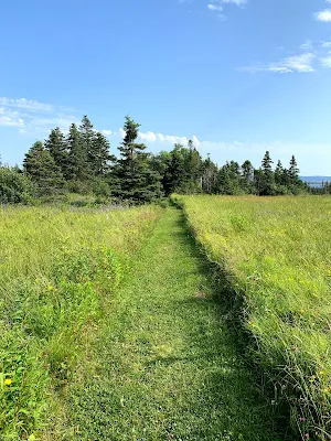 Old Common Cemetery