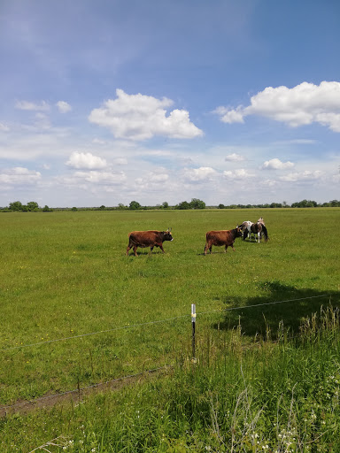 Wulfener Bruch und Teichgebiet Osternienburg - Thumbnail