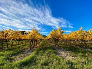 Photo n°5 de Cave La Madeleine à Volx (Cave à vins)