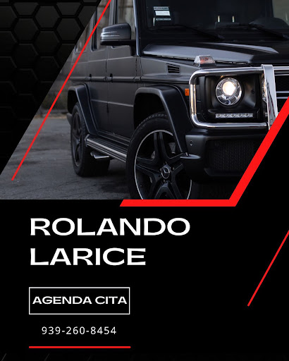 Larice Auto