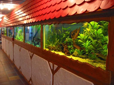 Photos of Aquarienfreunde Bad K&ouml;nigshofen e.V.