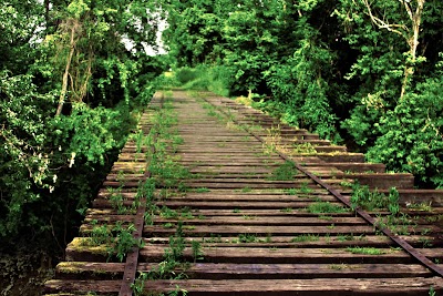 Loop Island Wetlands