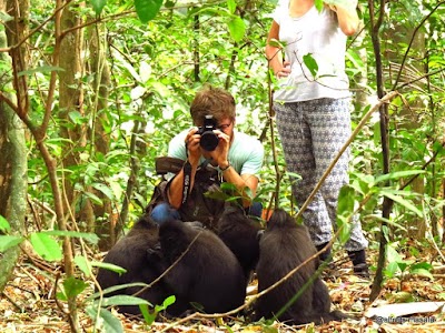 Photos of Tangkoko Ranger Homestay