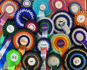 Photo n°11 de Anaïs France à Port (Magasin de trophées)