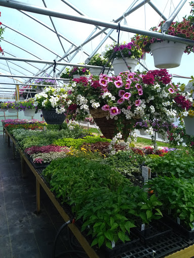 Kilmer's Kountry Greenhouse - Thumbnail