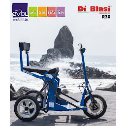 Photo n°6 de Evol Mobilités à Sainte-Foy-de-Peyrolières (Service de transport pour handicapés)