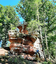 Photo n°1 de Wanderreitstation Chez Cindy à Merkwiller-Pechelbronn (Centre de randonnée équestre)