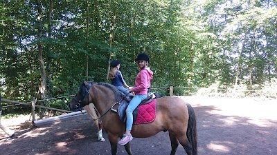 Photos of H&ouml;henhof Erlebnisbauernhof