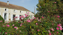 Domaine de Tout Ly Faut à Val-de-Livenne
