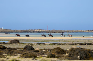 Photo n°1 de Equi Nature à Pleumeur-Bodou (Centre équestre)