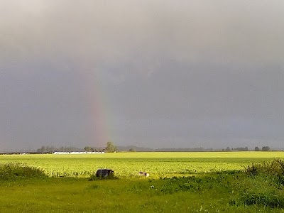 Photos of Puiatu