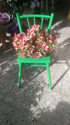 AGROSERMA - Visual