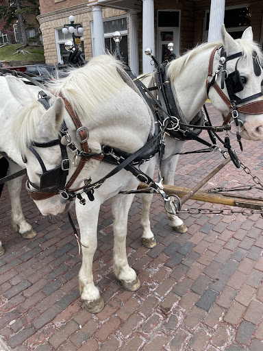 Deadwood Stagecoach - Thumbnail