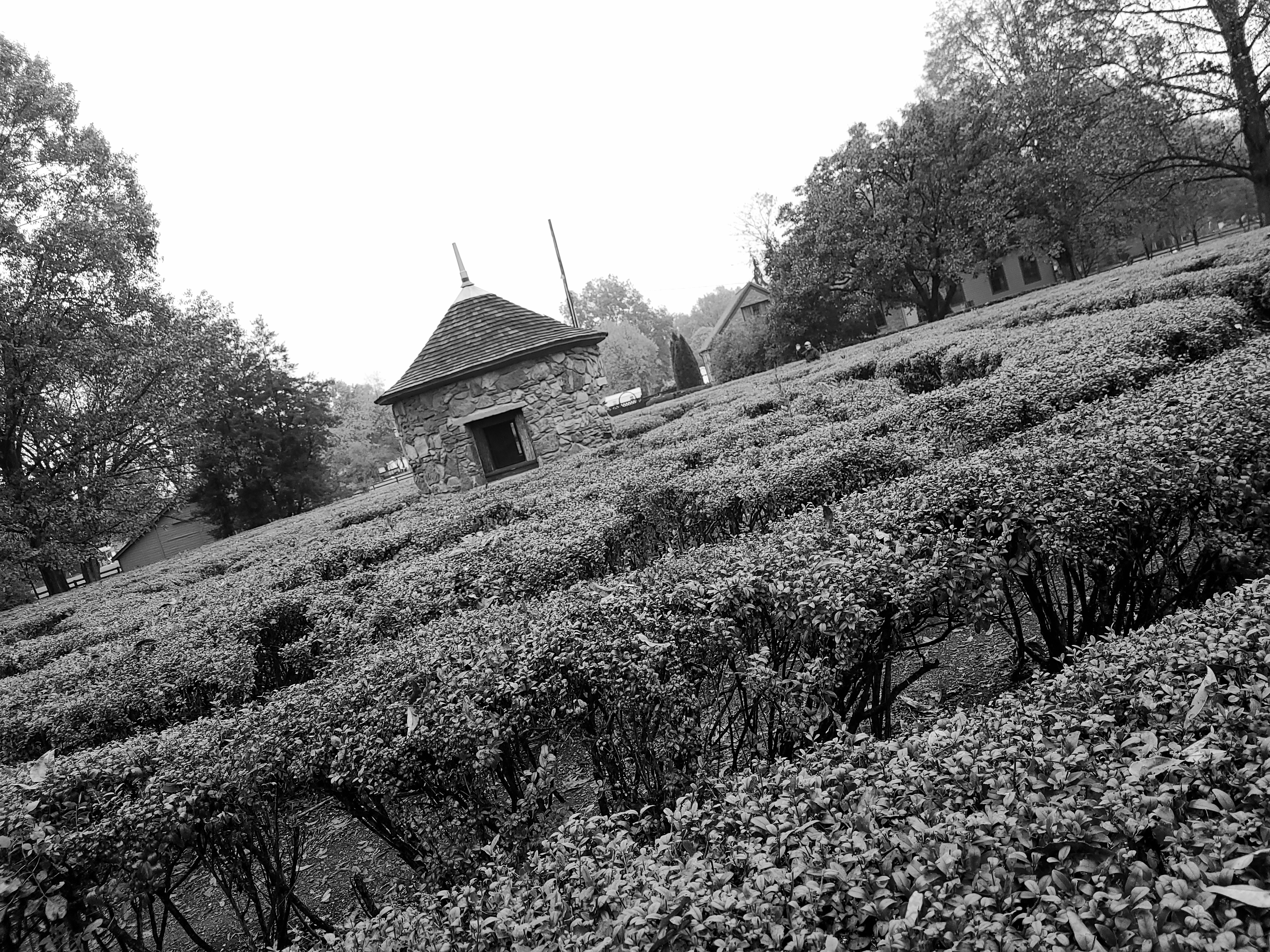 Harmonist Labyrinth