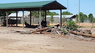 Photos of Gulf Breeze Zoo