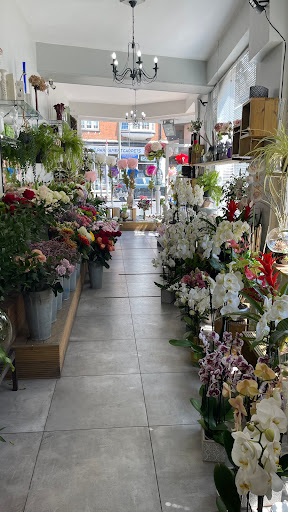 Ronit Flowers - Thumbnail