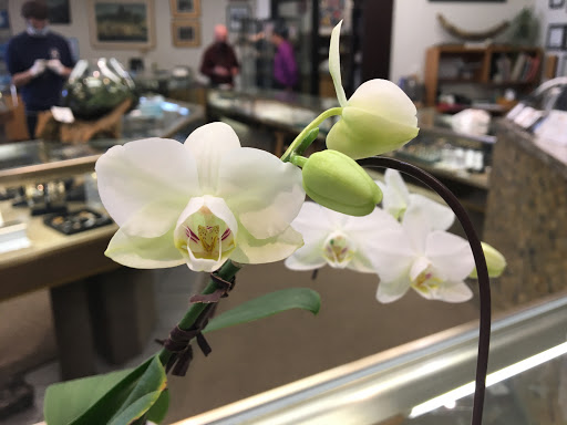 Gemport Gallery - Canada