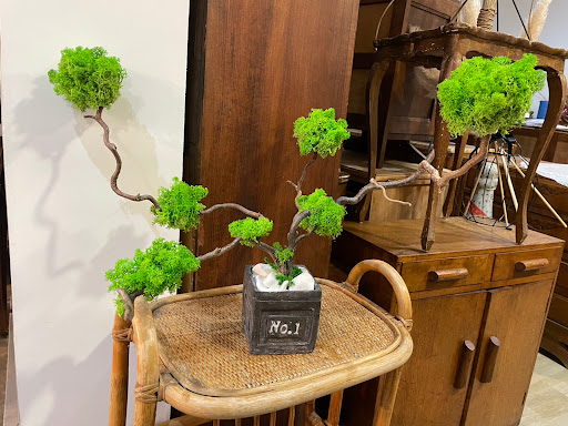 Hestia Concept Store - Thumbnail