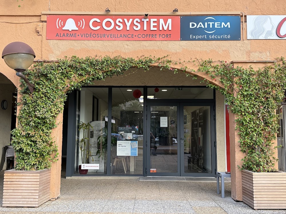 Cosystem
