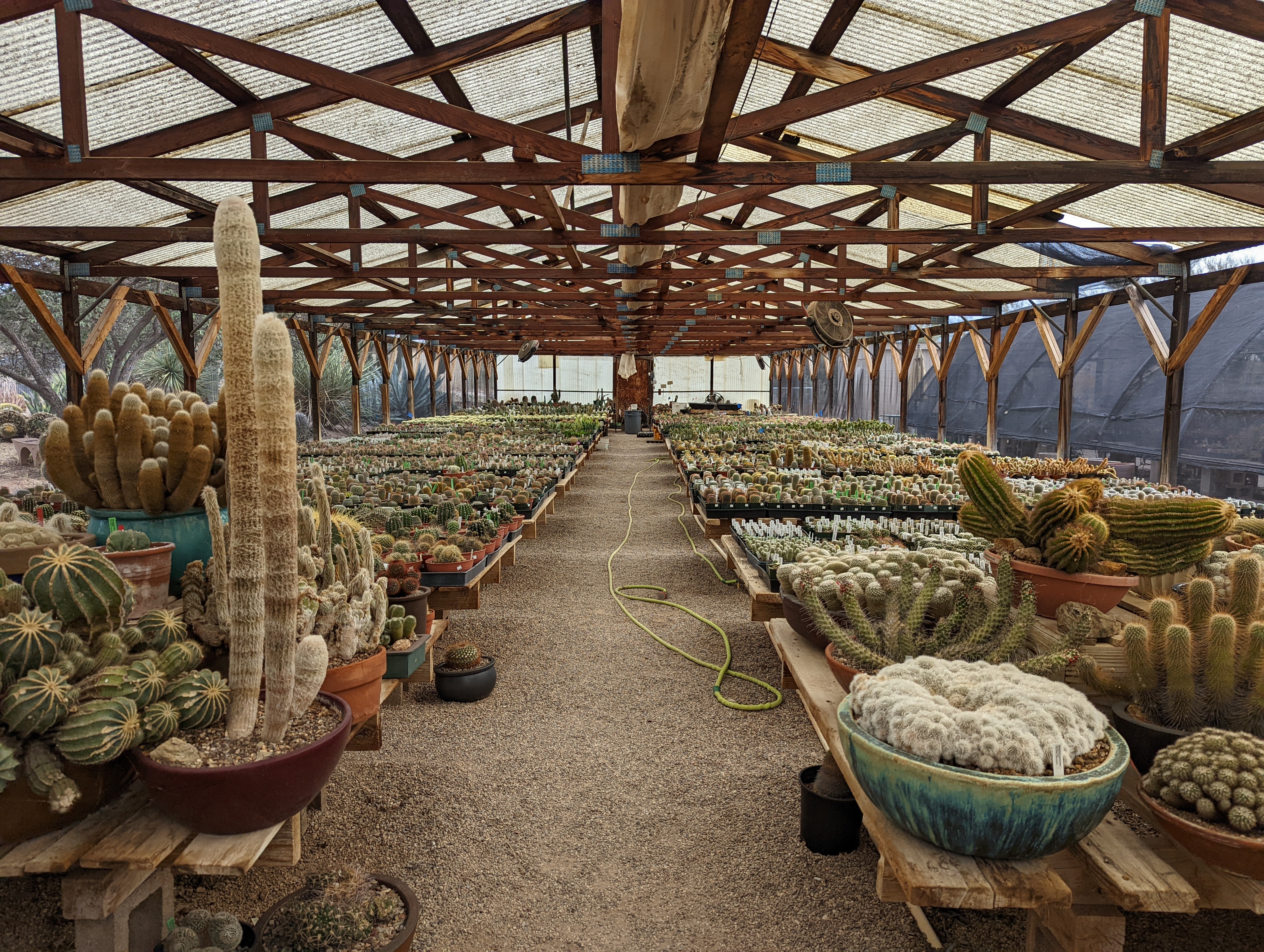 B & B Cactus Farm