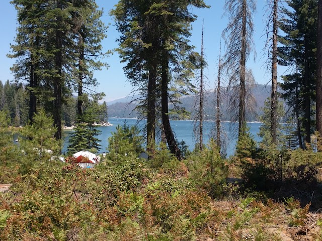 Shaver Lake